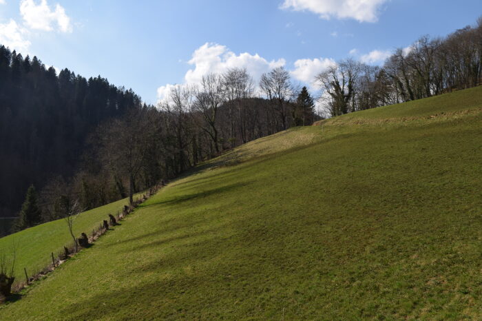 Immeuble de rendement