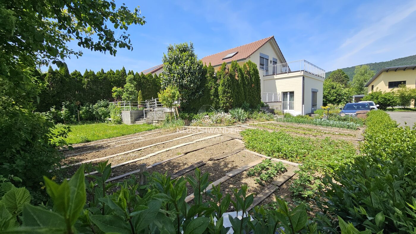 Parcelle avec jardin potager