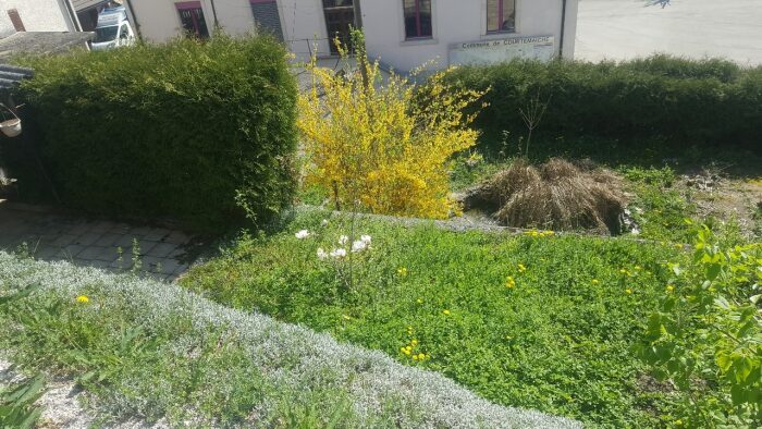 Immeuble de rendement