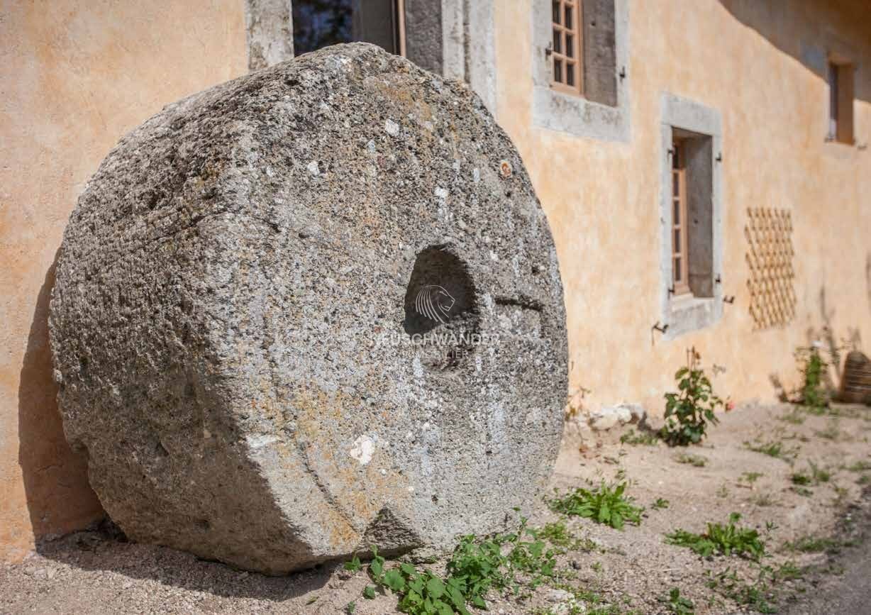 Ancienne roue du moulin