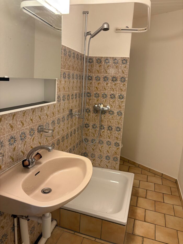 Nouveau bien (copie)