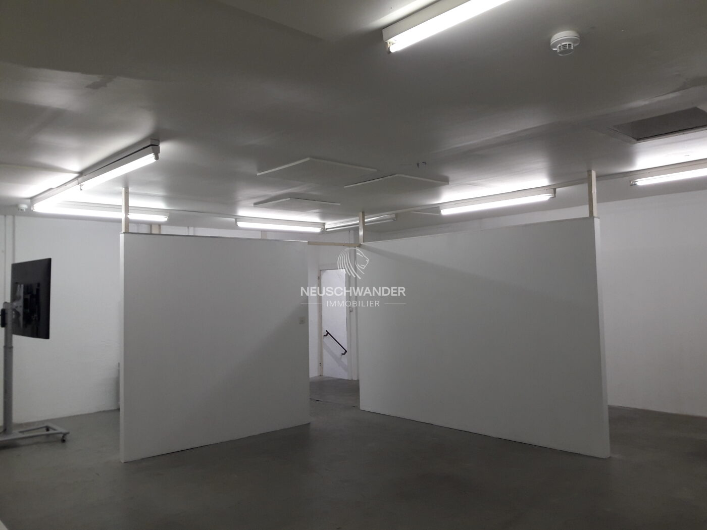 Exemple de division de la surface