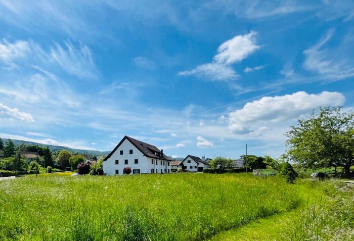 Nouveau bien (copie) (copie) (copie) (copie) (copie)