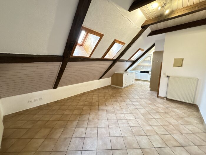 Nouveau bien (copie) (copie) (copie)