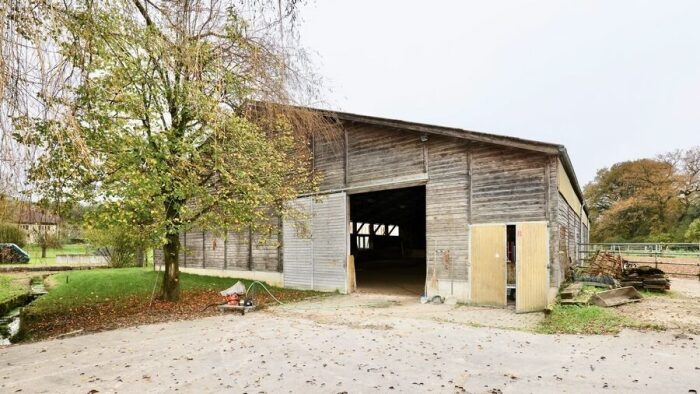 Domaine (copie) (copie)