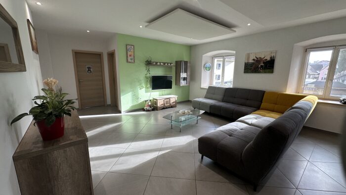 Ferme à rénover (copie)