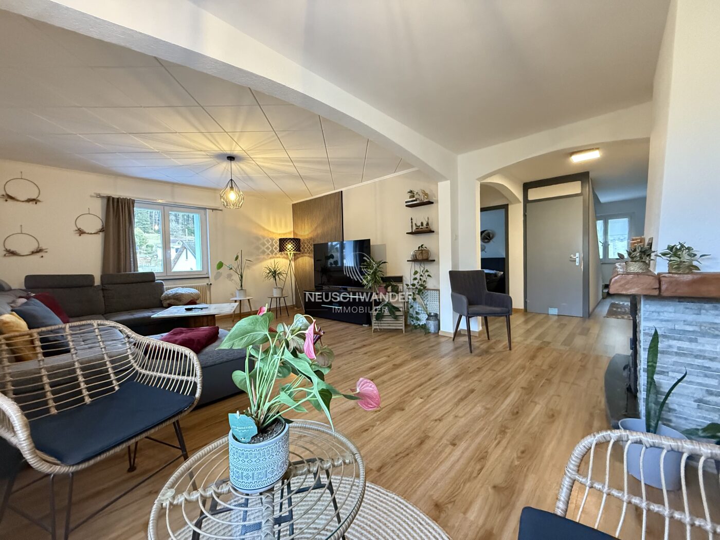 Salon - séjour - cheminée fonctionnelle