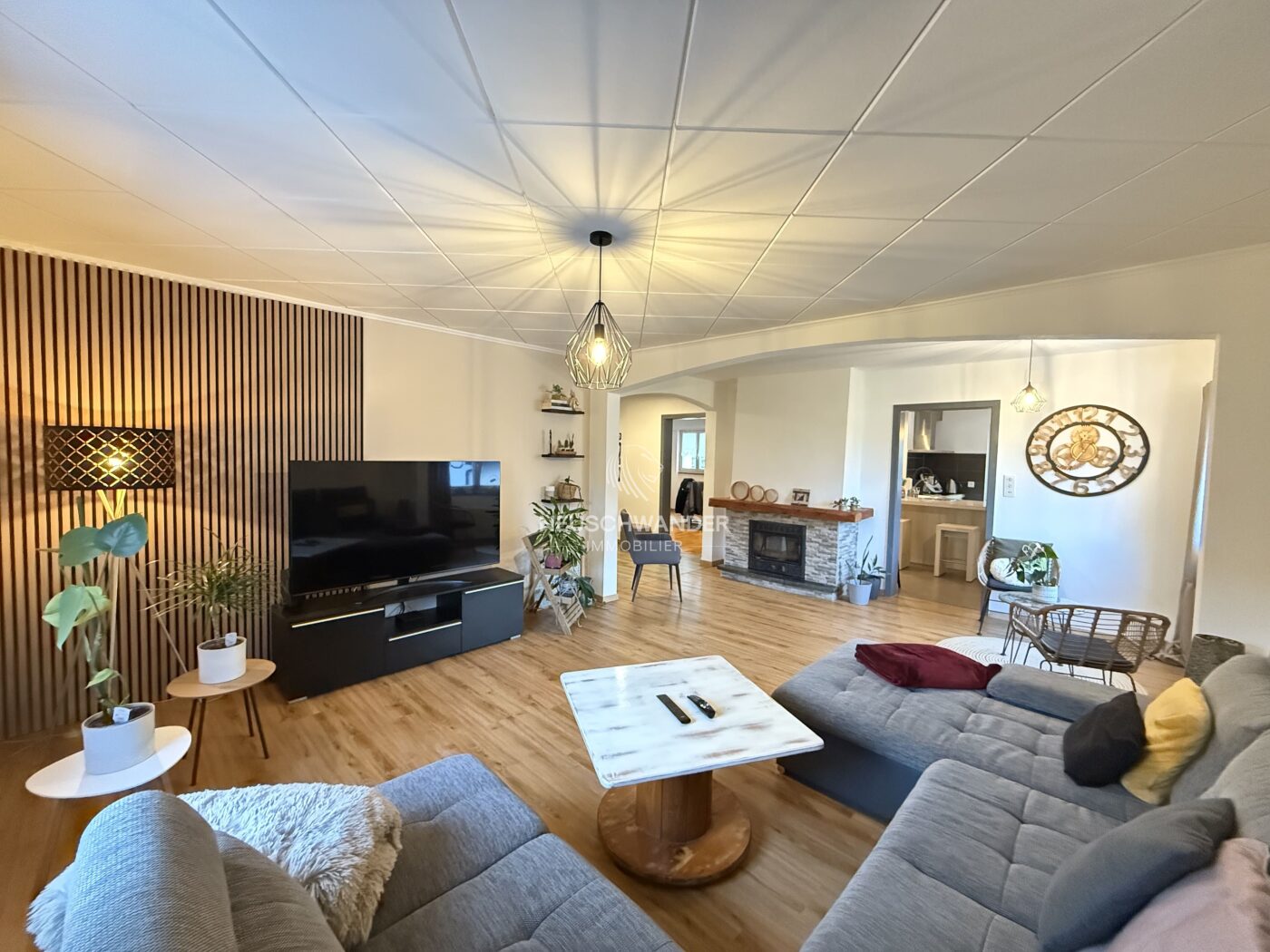 Salon - séjour - cheminée fonctionnelle