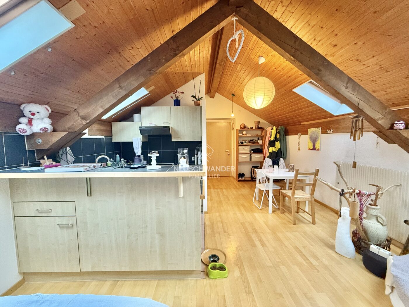 Cuisine ouverte et entrée