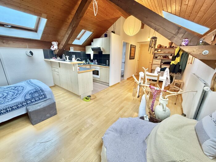 Nouveau bien (copie) (copie)