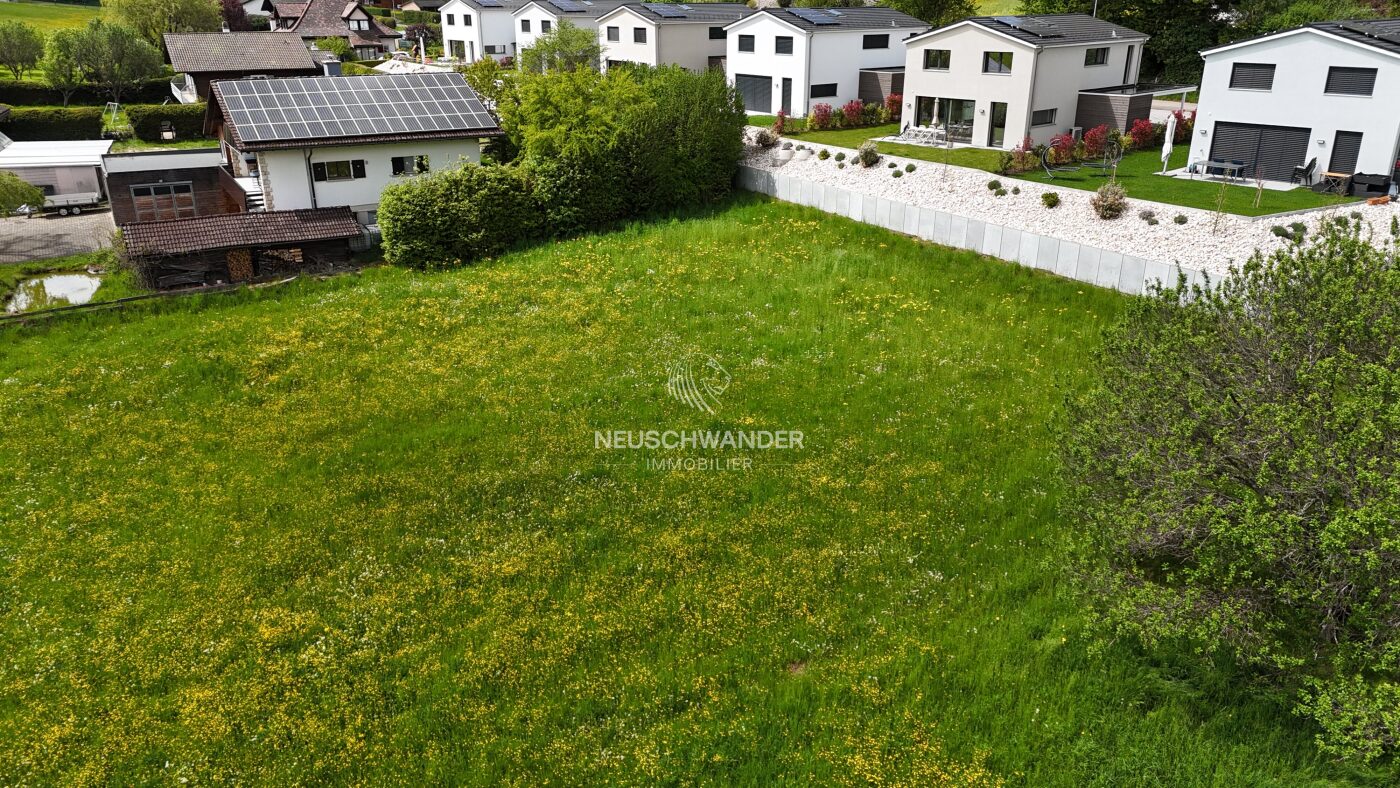 Terrain