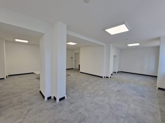Local commercial (copie)