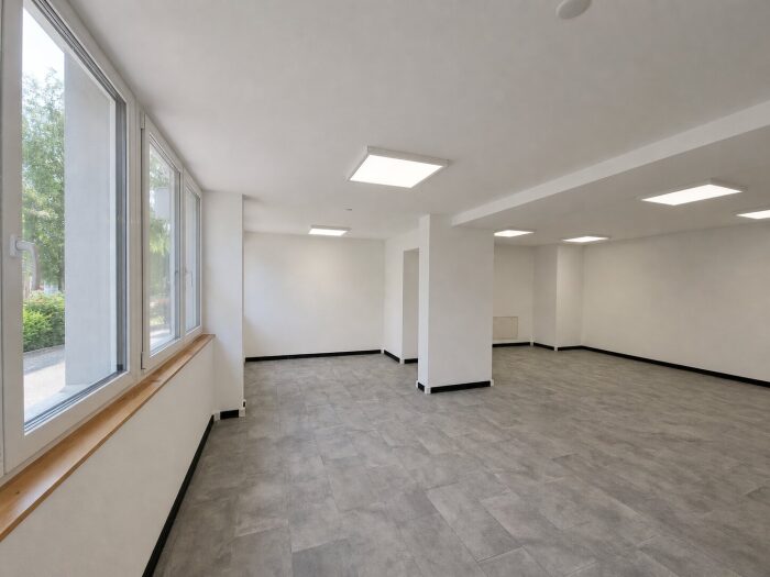 Local commercial (copie)