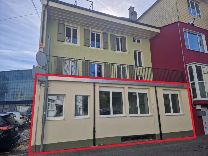 Local commercial (copie)