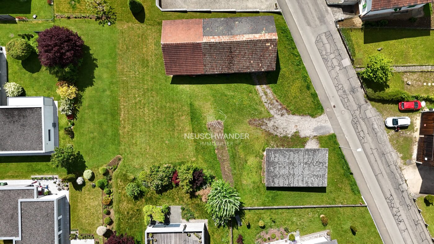 Terrain