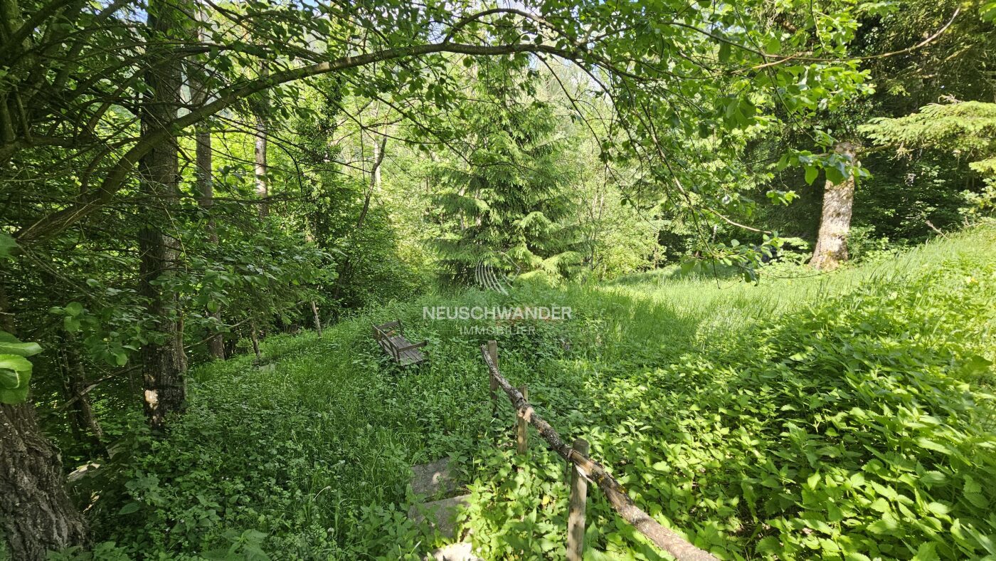 Petit sentier menant à au banc