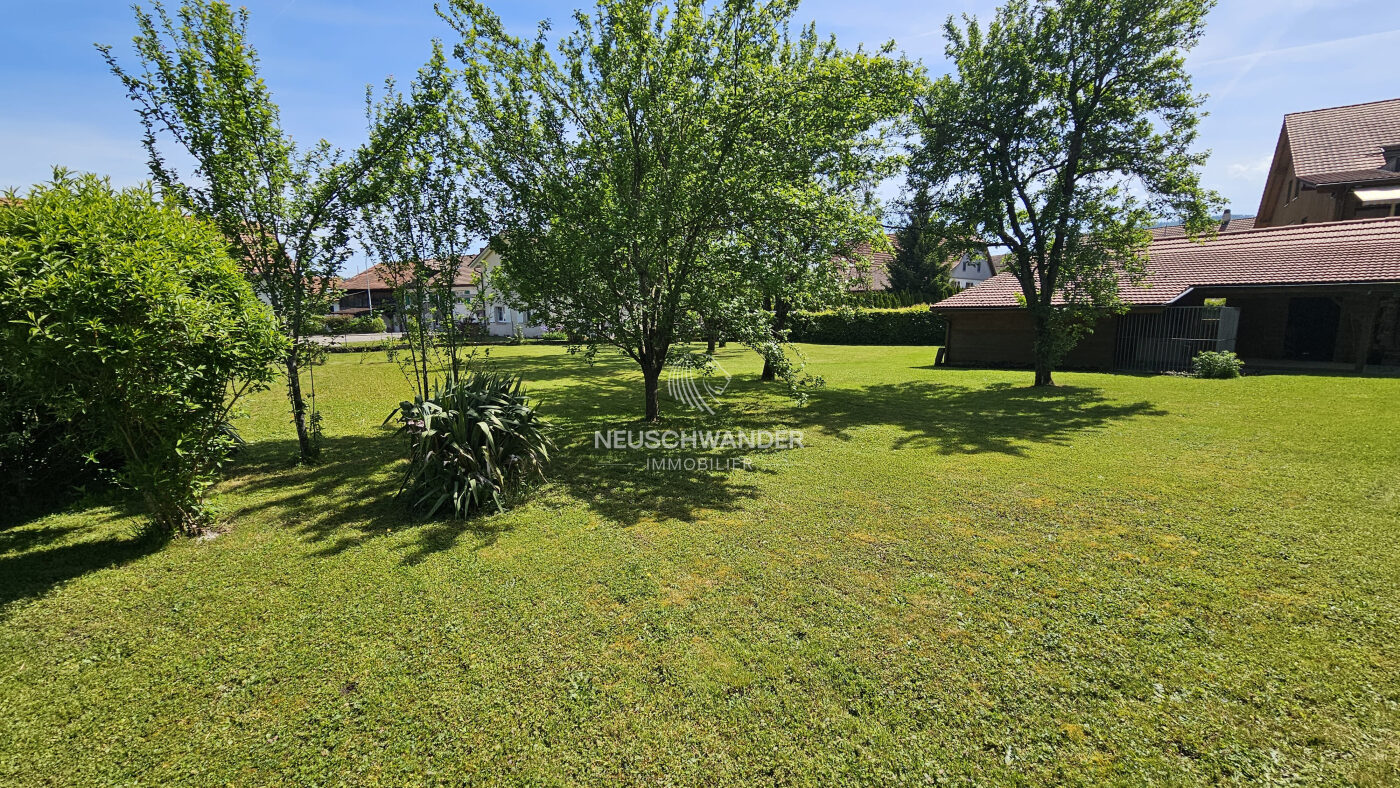 Grande parcelle arborée et constructible