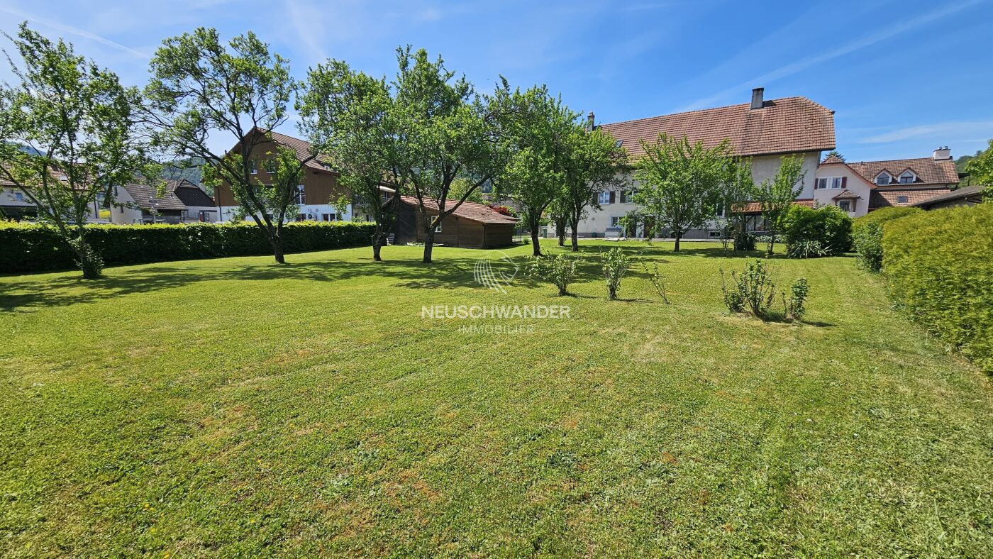 Grande parcelle arborée et constructible