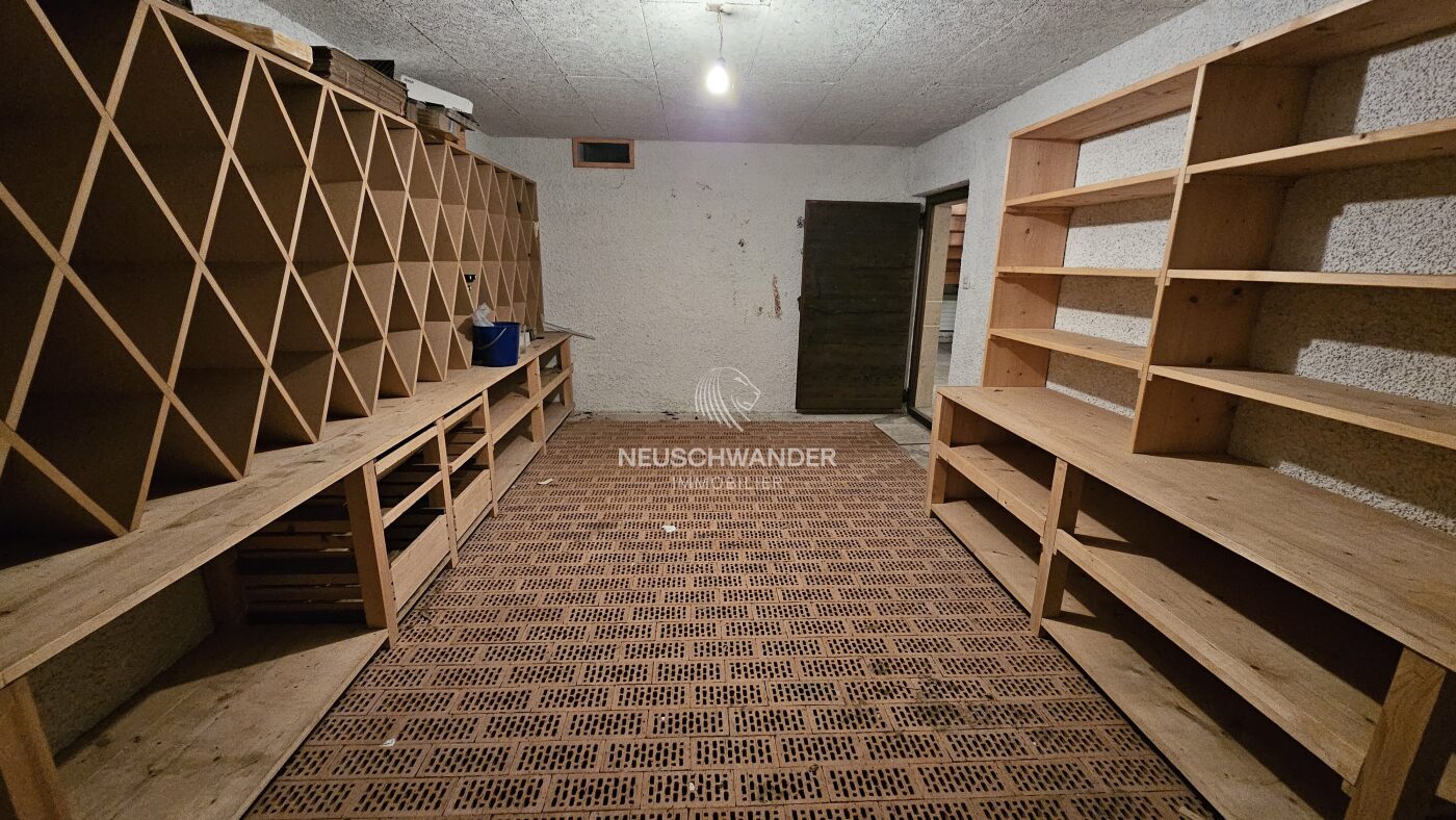 Cave à idéale pour le vin au sous-sol