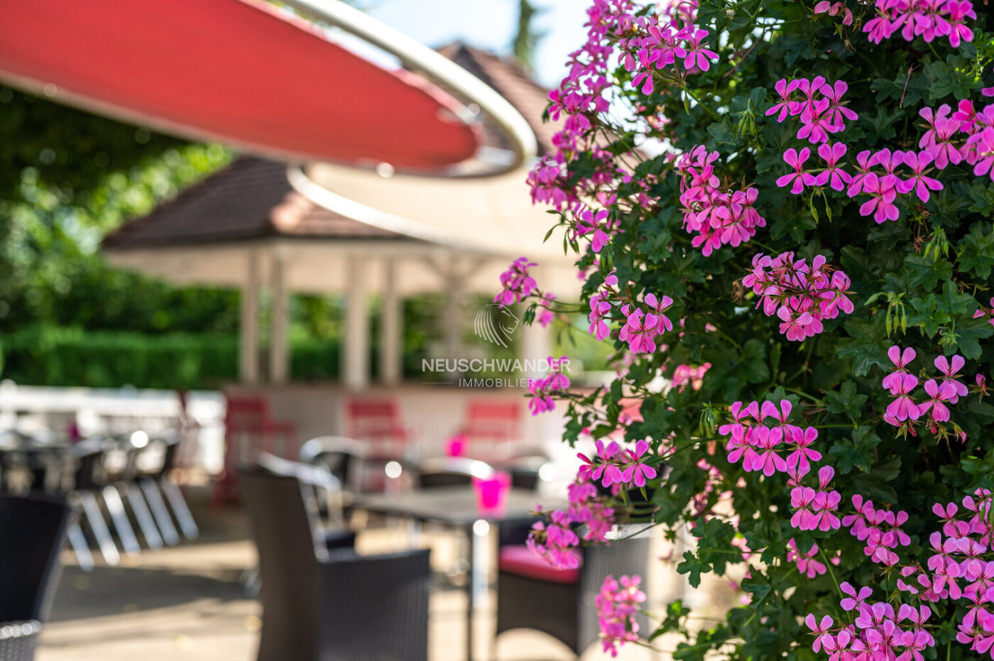 Terrasse en fleurs