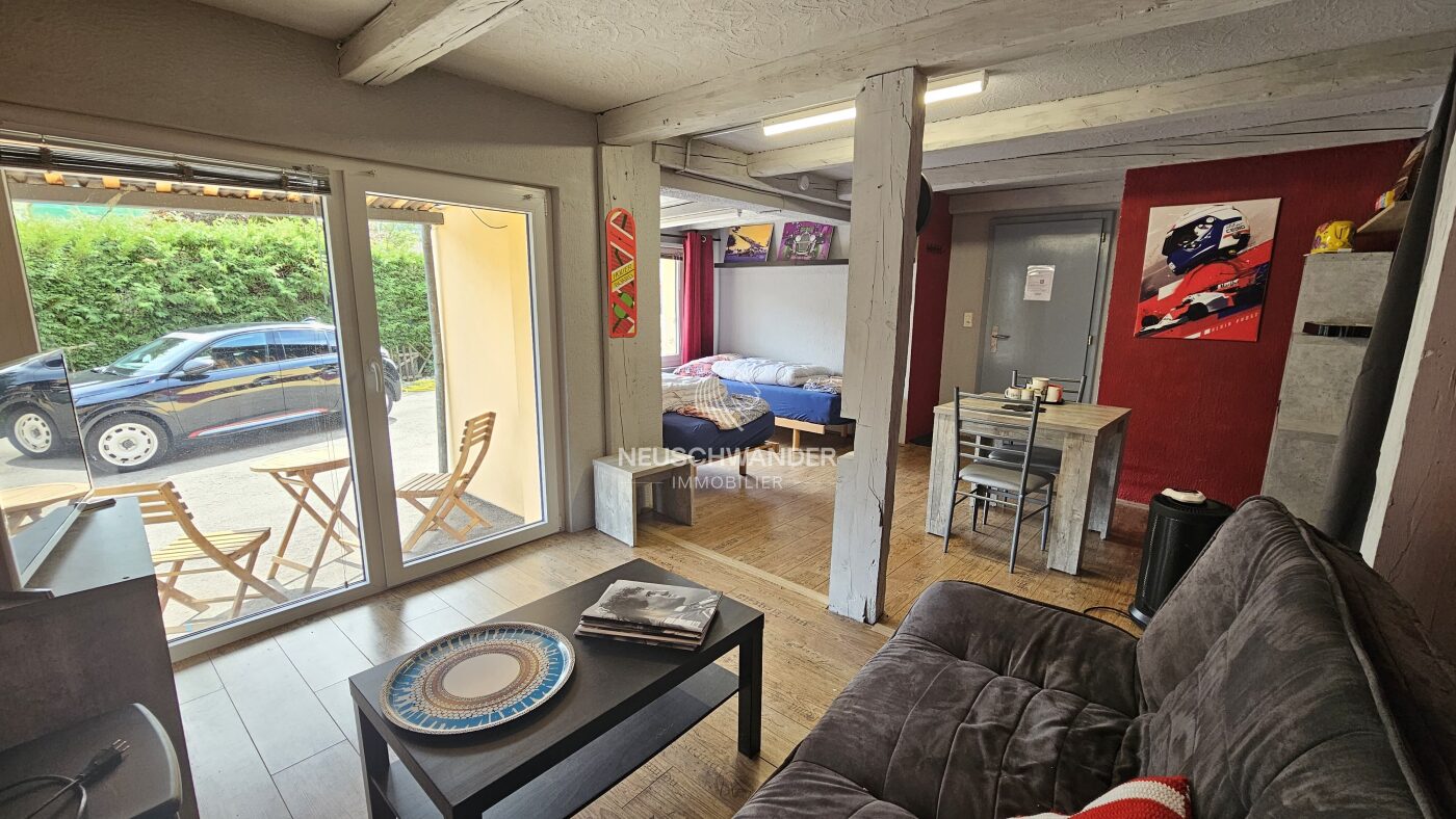 Studio - pièce à vivre