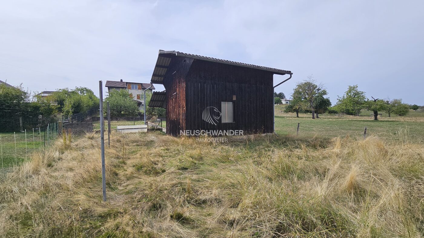Superbe verger à l'arrière de la maison avec maison de jardin