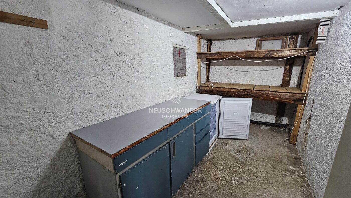 Cave avec congélateur
