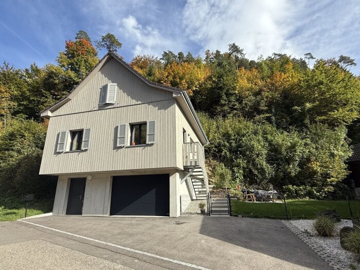 Maison (copie)