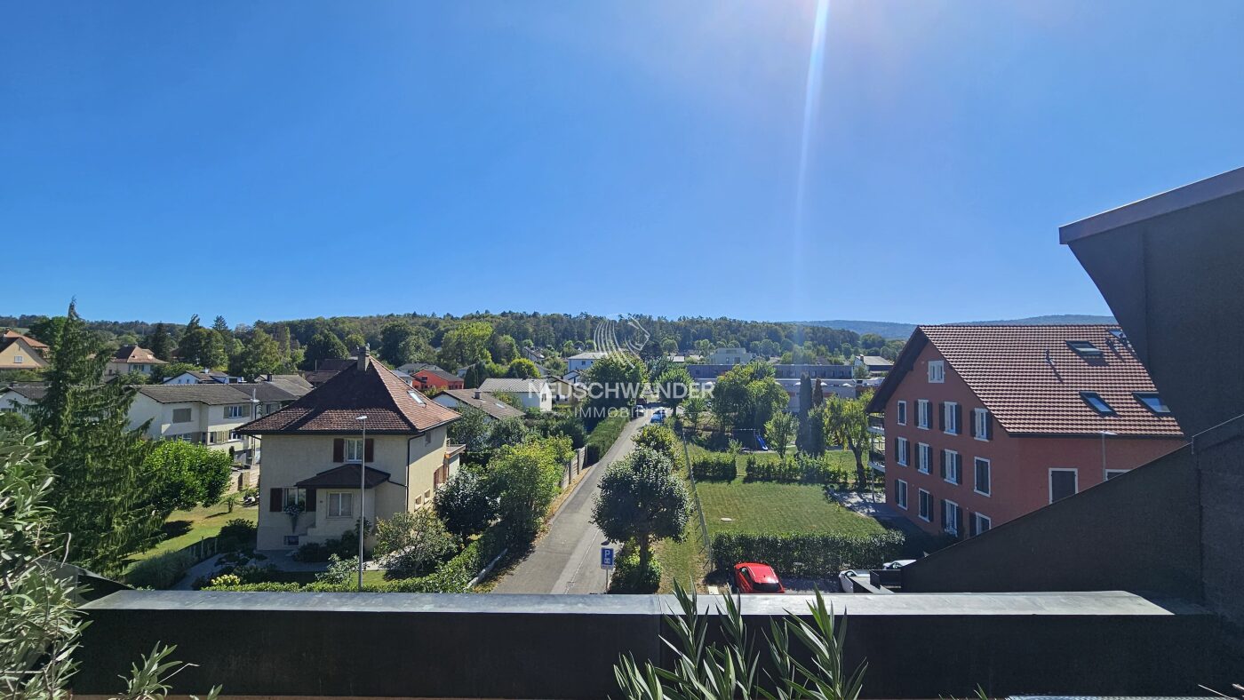 Vue depuis la terrasse
