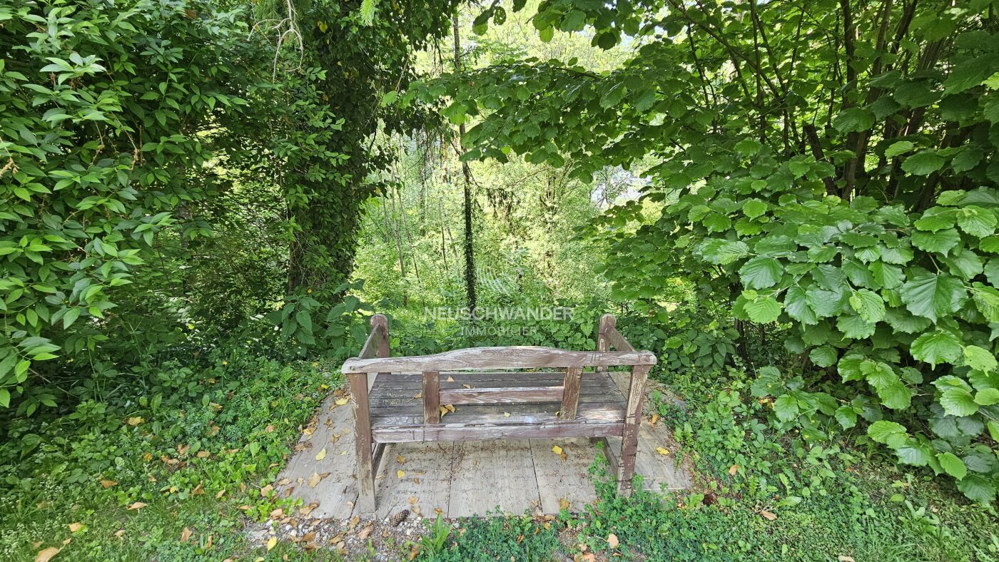Vue depuis le banc