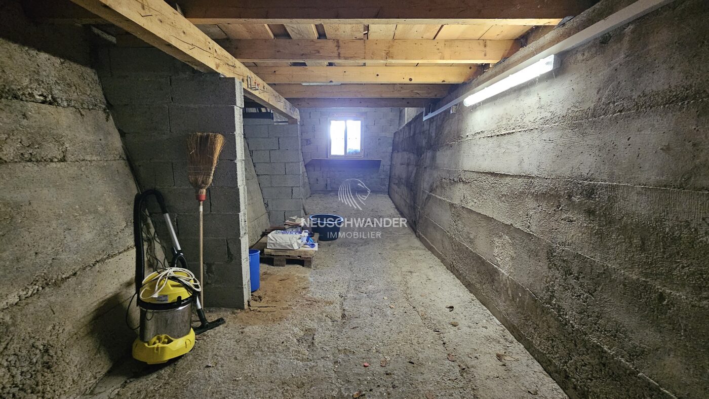 Cave qui peut très bien faire office d'atelier avec mezzanine