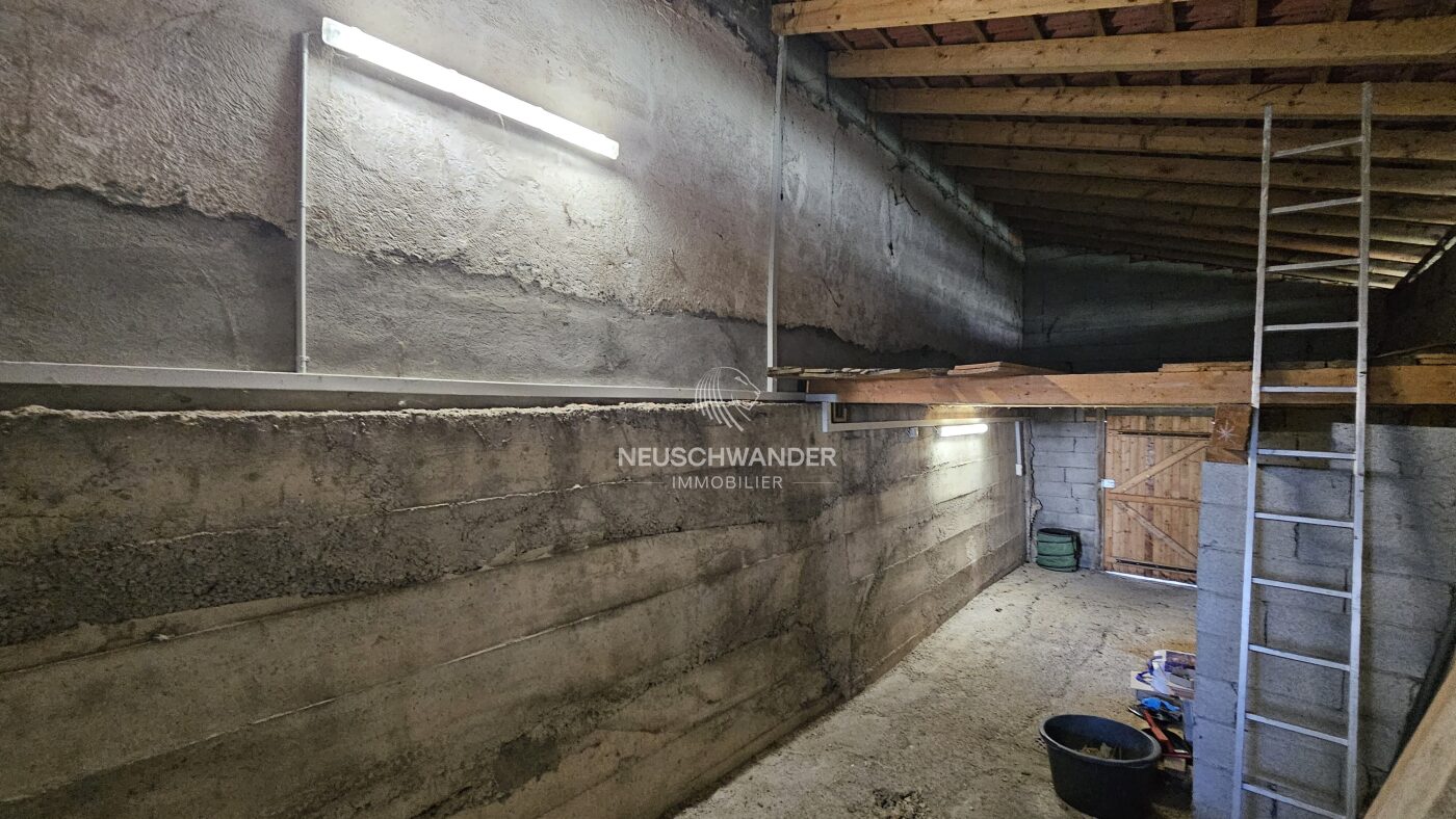 Cave qui peut très bien faire office d'atelier avec mezzanine