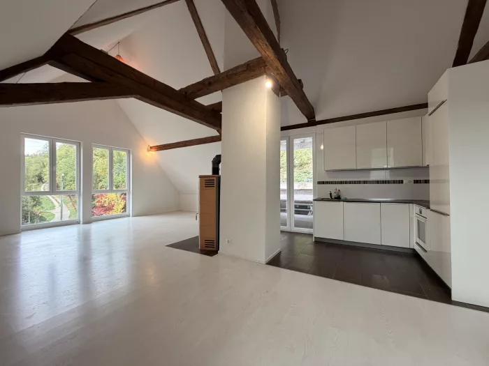 Maison locative (copie) (copie) (copie)