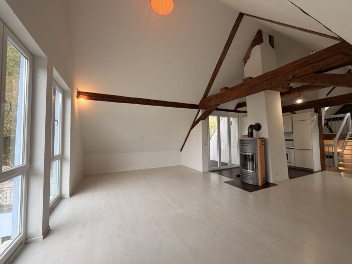 Maison locative (copie) (copie) (copie)